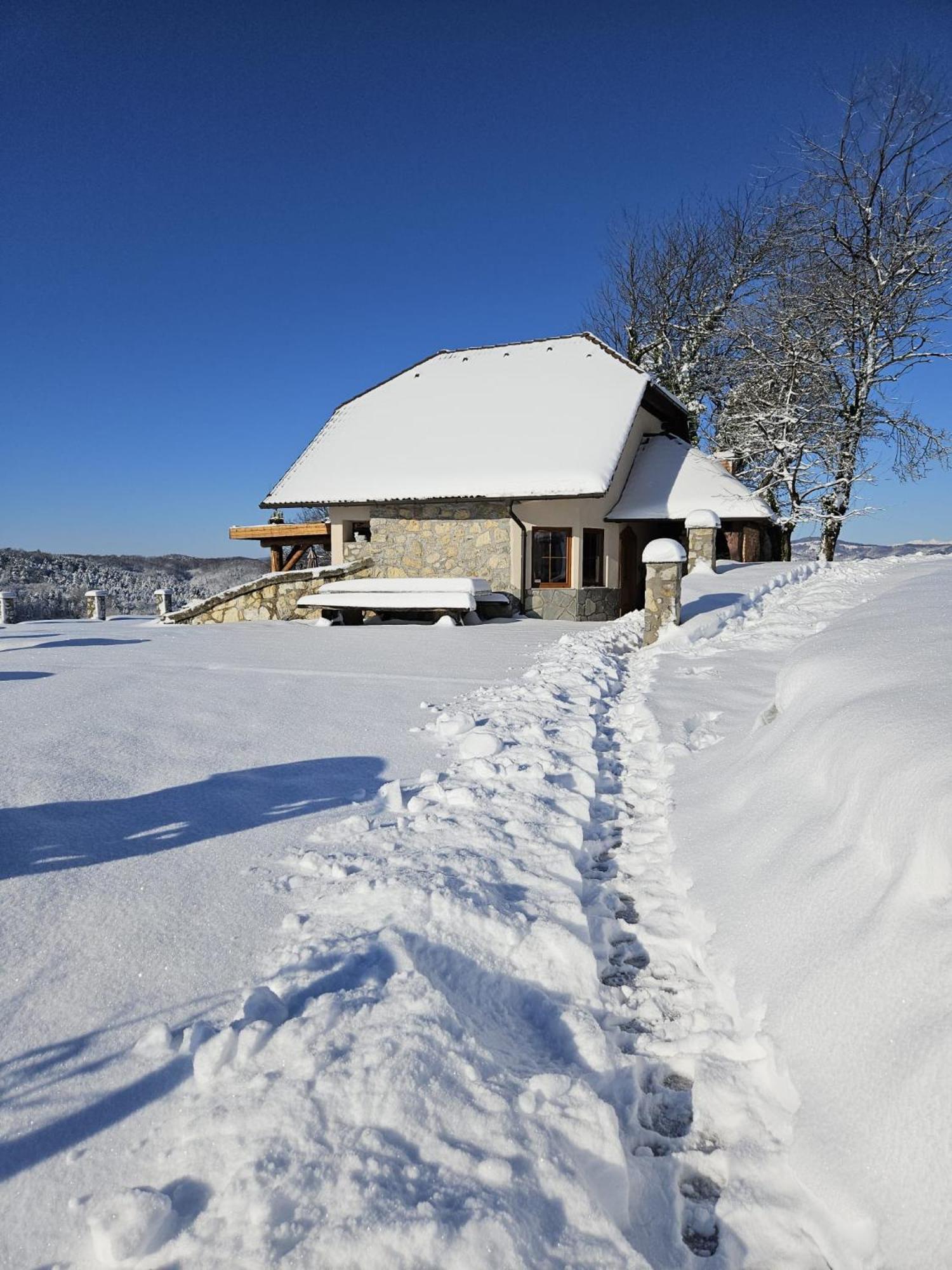 Zerko Holiday Home - Vineyard Chalet With Sauna And Jacuzzi Free Mirna 외부 사진