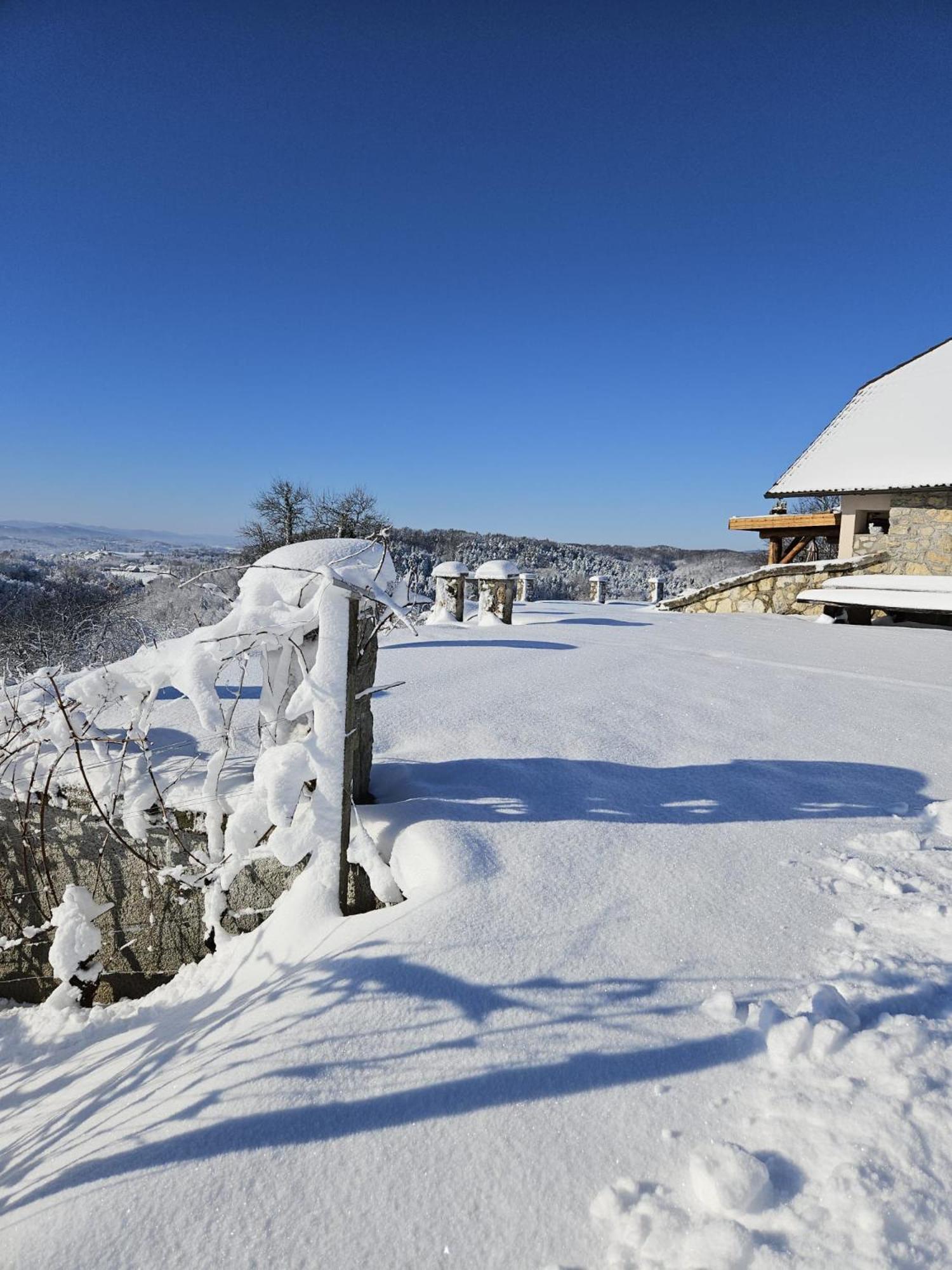 Zerko Holiday Home - Vineyard Chalet With Sauna And Jacuzzi Free Mirna 외부 사진