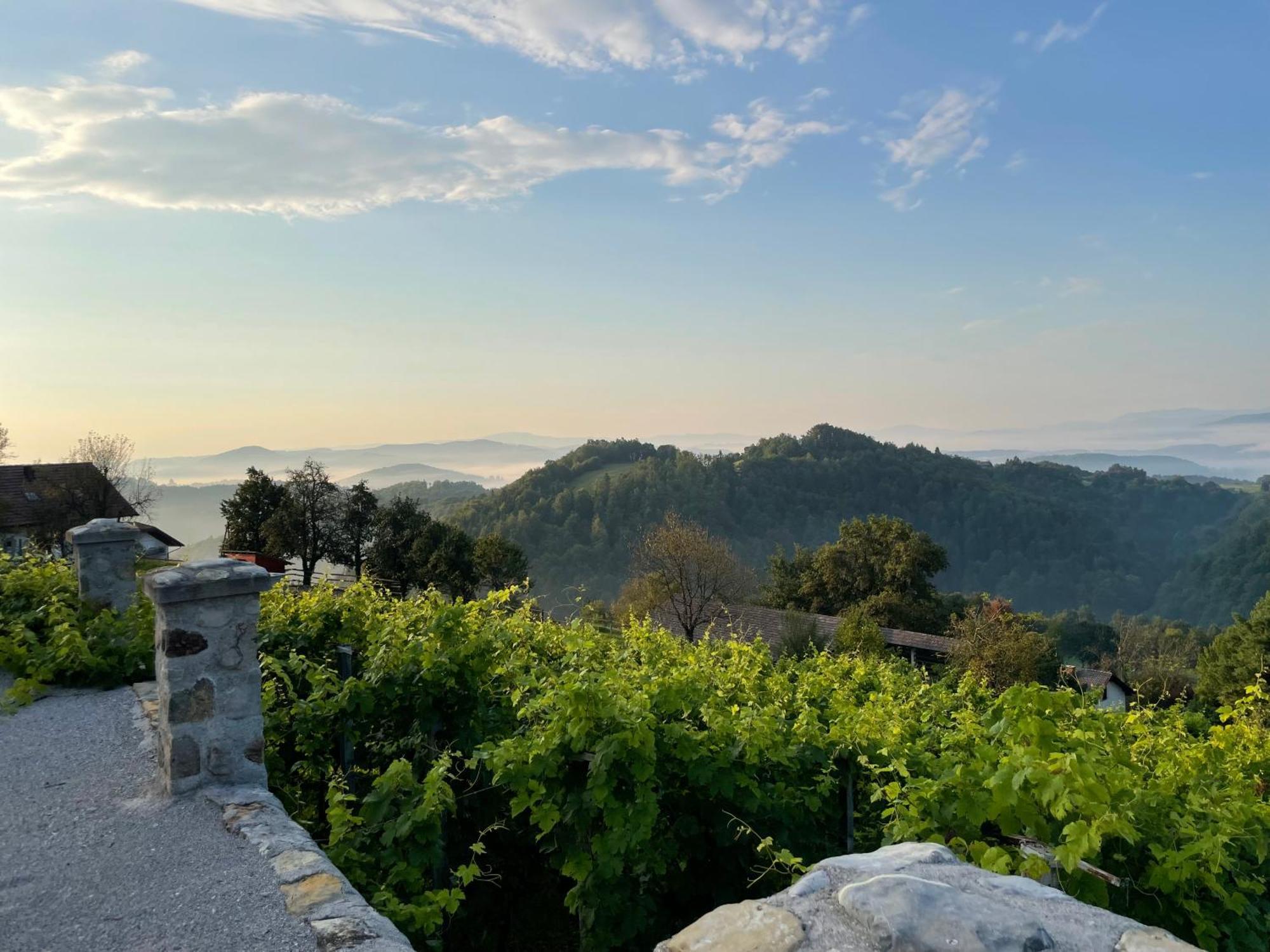 Zerko Holiday Home - Vineyard Chalet With Sauna And Jacuzzi Free Mirna 외부 사진