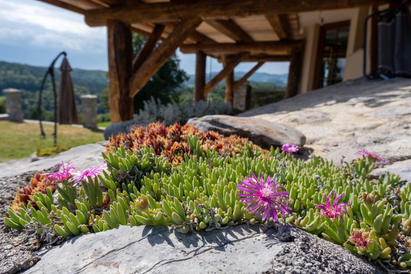Zerko Holiday Home - Vineyard Chalet With Sauna And Jacuzzi Free Mirna 외부 사진